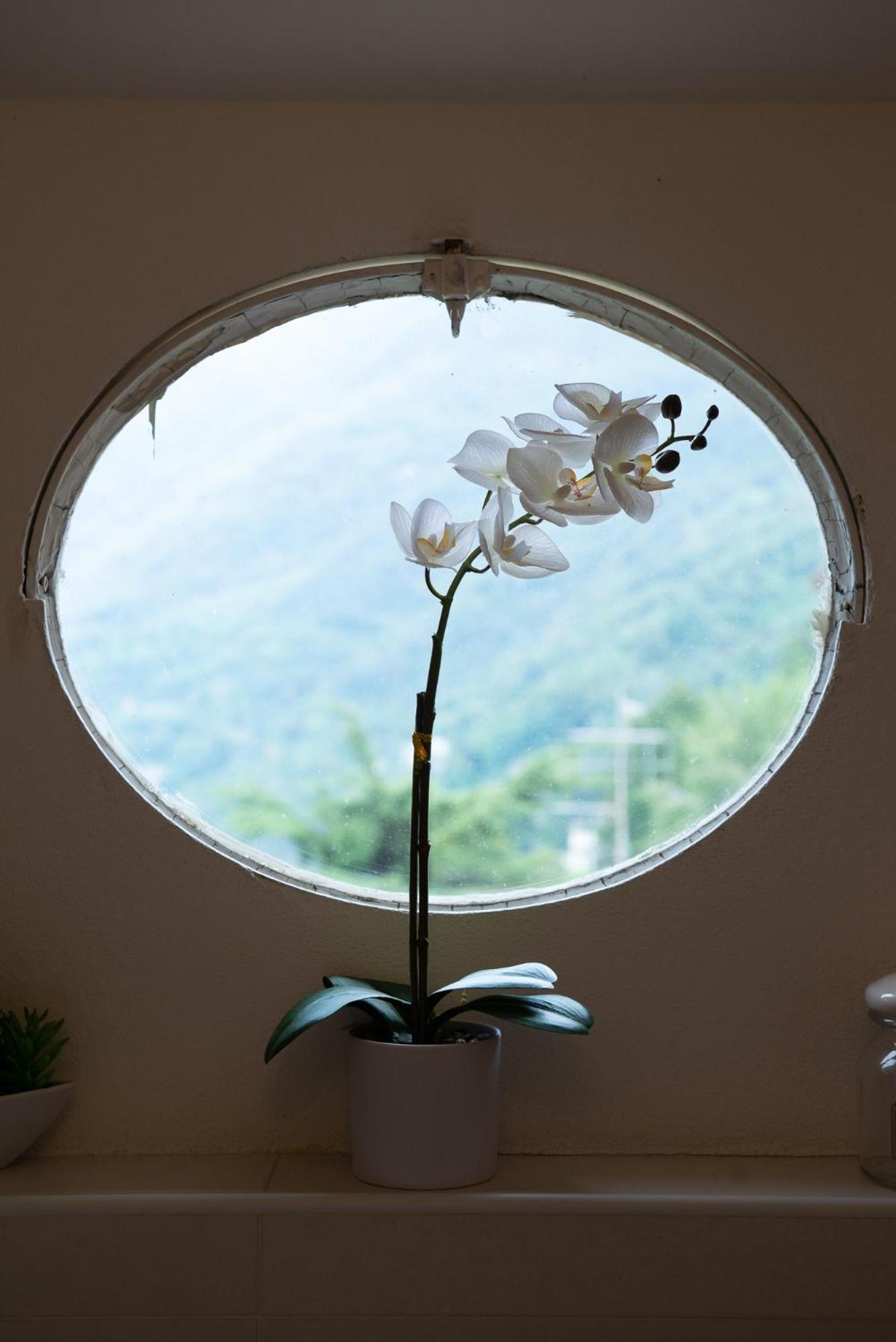 Appartamento "Bella Vista" Sul Lago Di Como Faggeto Lario Eksteriør billede